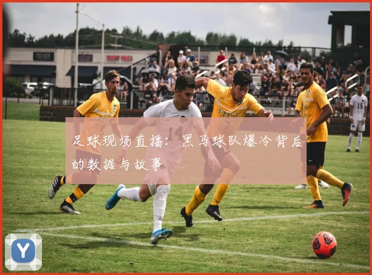 足球现场直播：黑马球队爆冷背后的数据与故事