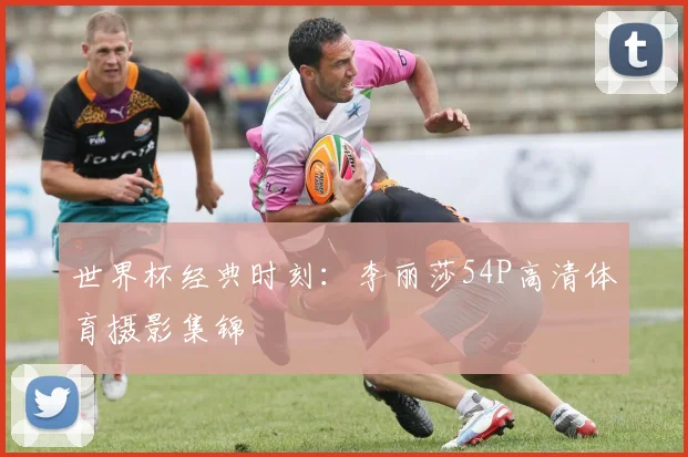 世界杯经典时刻：李丽莎54P高清体育摄影集锦