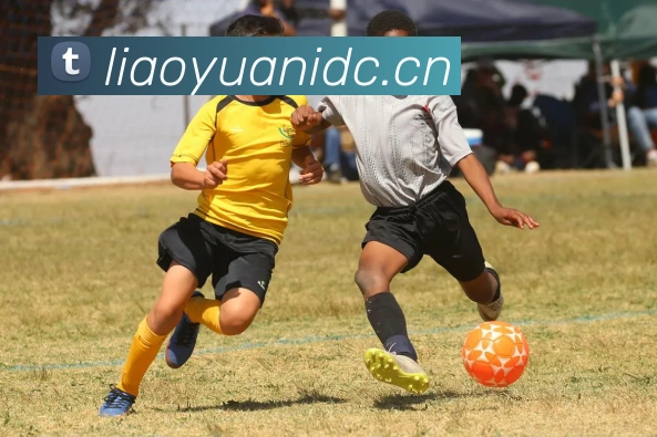 辅助工具 辅助工具